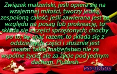 Rady psychologa rodzinnego na temat wzajemnej miłości, przyjaźni i szacunku