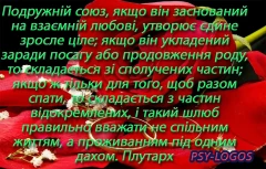 Сімейний психолог  про взаємну любов дружбу і повагу